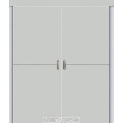 Двустворчатая раздвижная дверь купе Браво-0.21 П grey silk ДГ